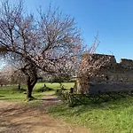 Gioia Di Roma